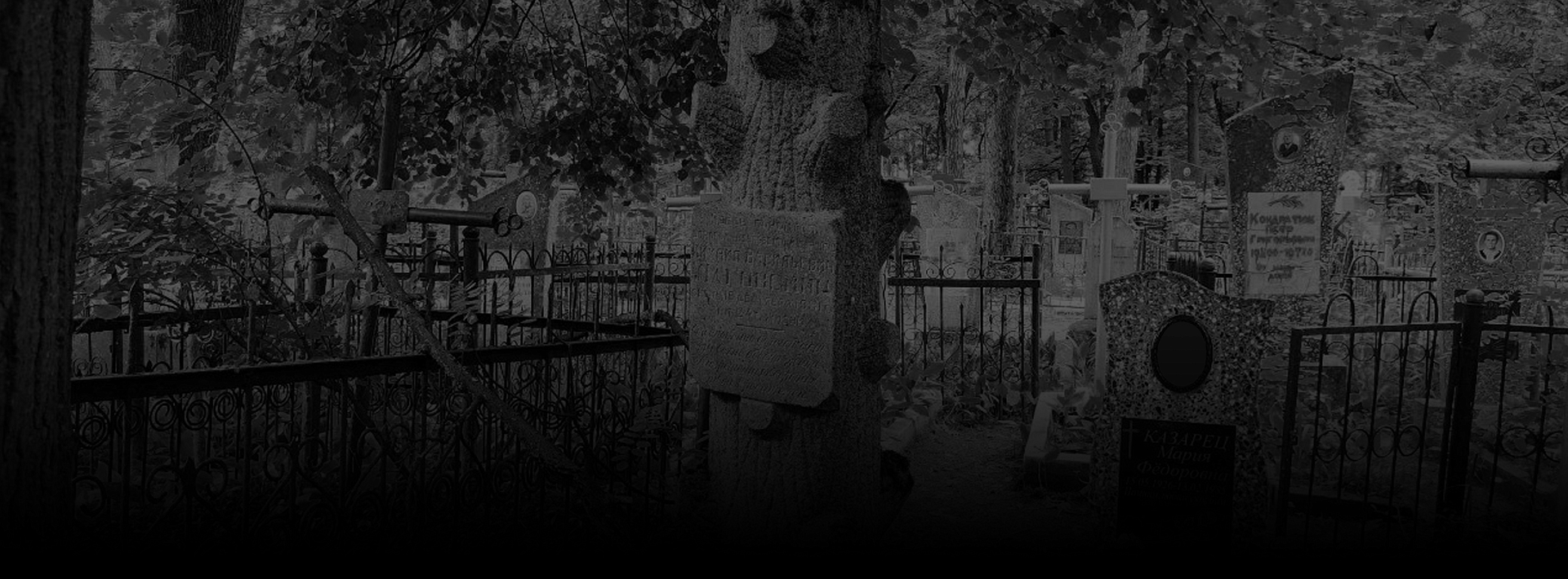 Памятник-дерево без ветвей – символика и значение